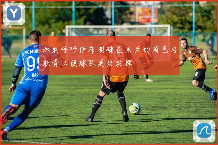加利呼吁伊布明确在米兰的角色与职责以便球队更好发挥